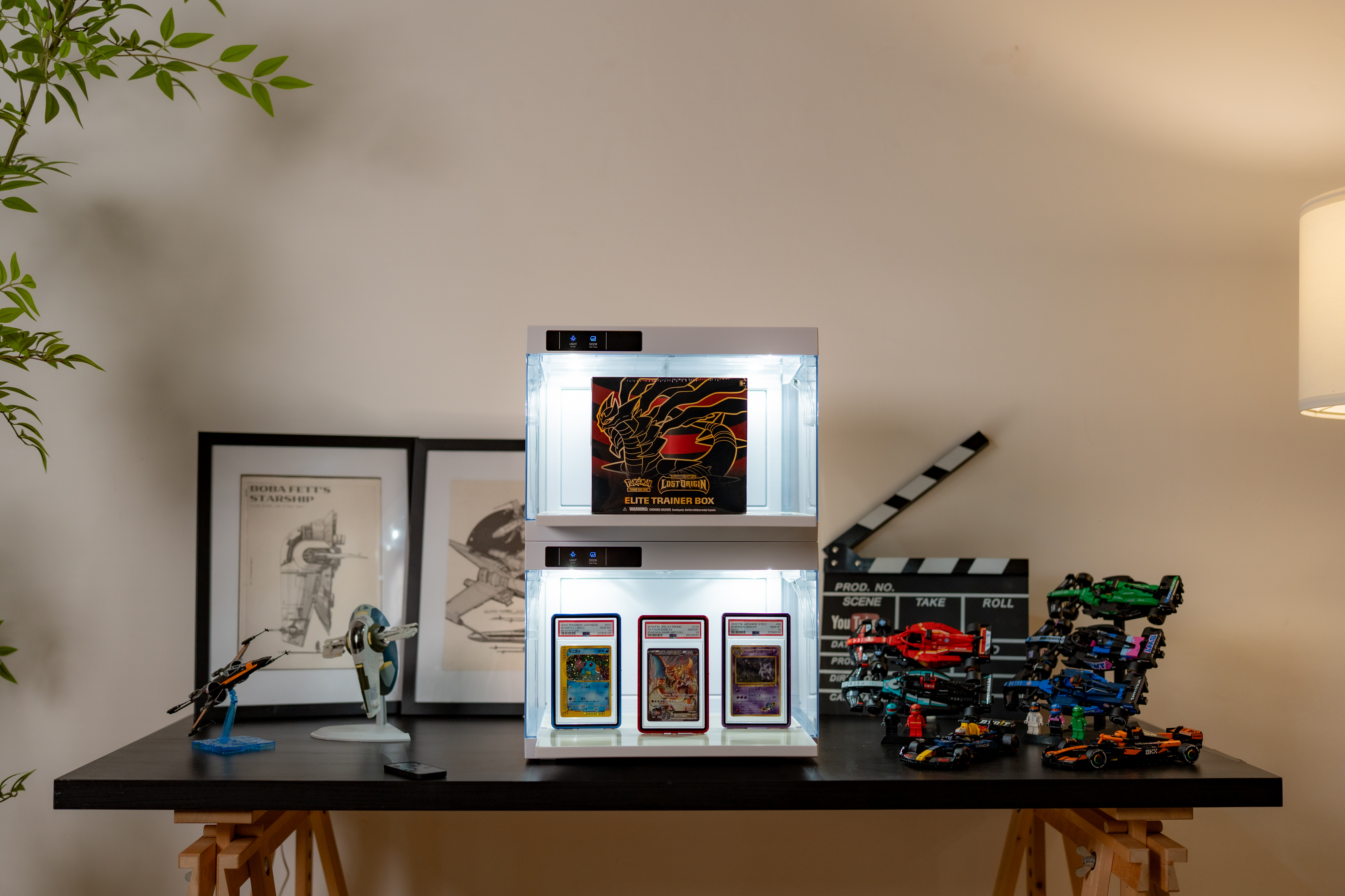 Premium Display Case - Image 4